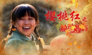 妈妈你在哪里电视剧全集