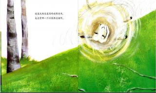 找出与众不同的一只羊